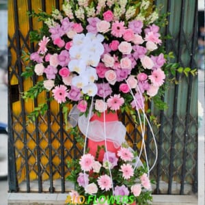 VẠN SỰ THÀNH CÔNG