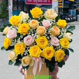 nắng mai rực rỡ